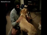 Businessman gets home from work and enjoys zoophilia fun